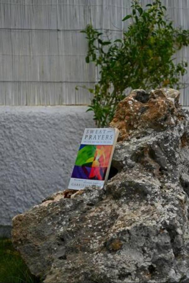 Villa Annassa Almyrida Almyrida  Bagian luar foto
